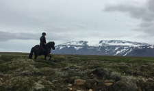 Iceland-Highland Tours-Kings Trail